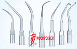 EMS type Piezo Cavitron Scaler Tips (WOODPECKER) - ATOMO Dental, Inc.