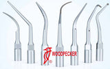 EMS type Piezo Cavitron Scaler Tips (WOODPECKER) - ATOMO Dental, Inc.